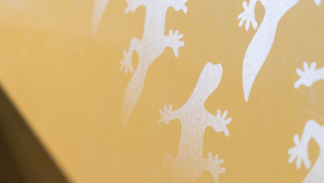 An example of the single pass digital varnish effect