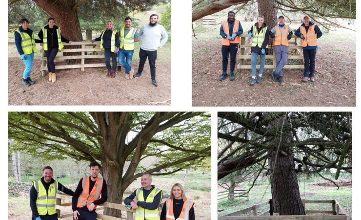 Antalis team take part in Earth Day event