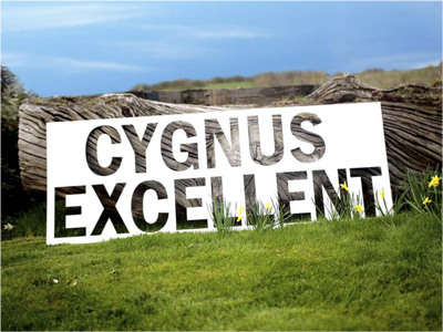 Swanline Paper & Board "excels" with Cygnus