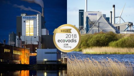 Iggesund gets sustainability gold